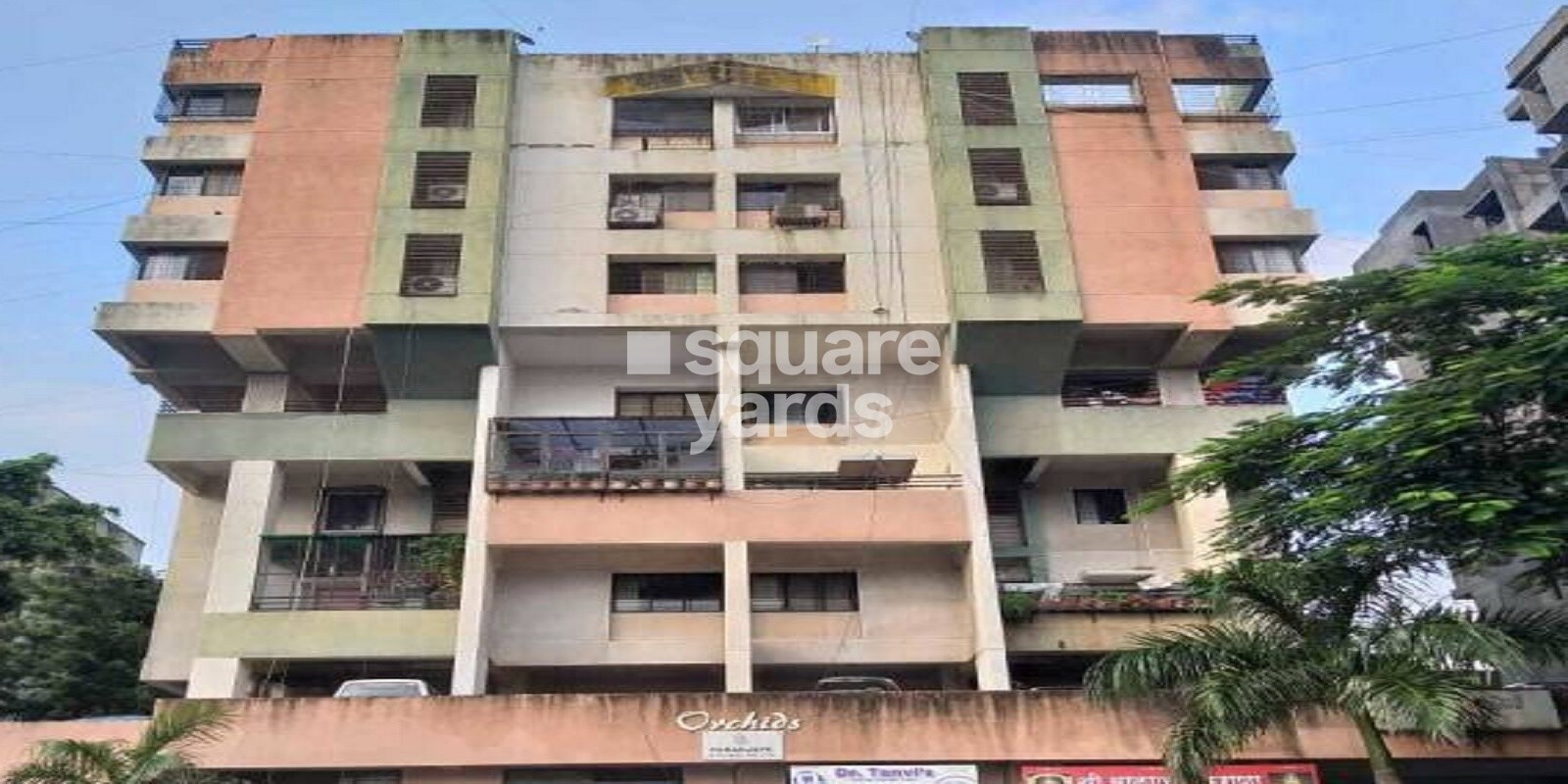 Paranjape Schemes Orchids