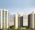 Paranjape Schemes Pebbles