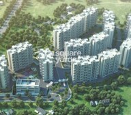 Pate Life Maxima Tower View