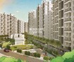 Pate Life Maxima Tower View