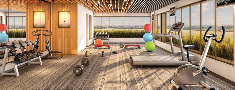 Pawar Riseonic Gymnasium Image