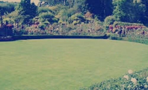 Pearl Eminent Greens Image