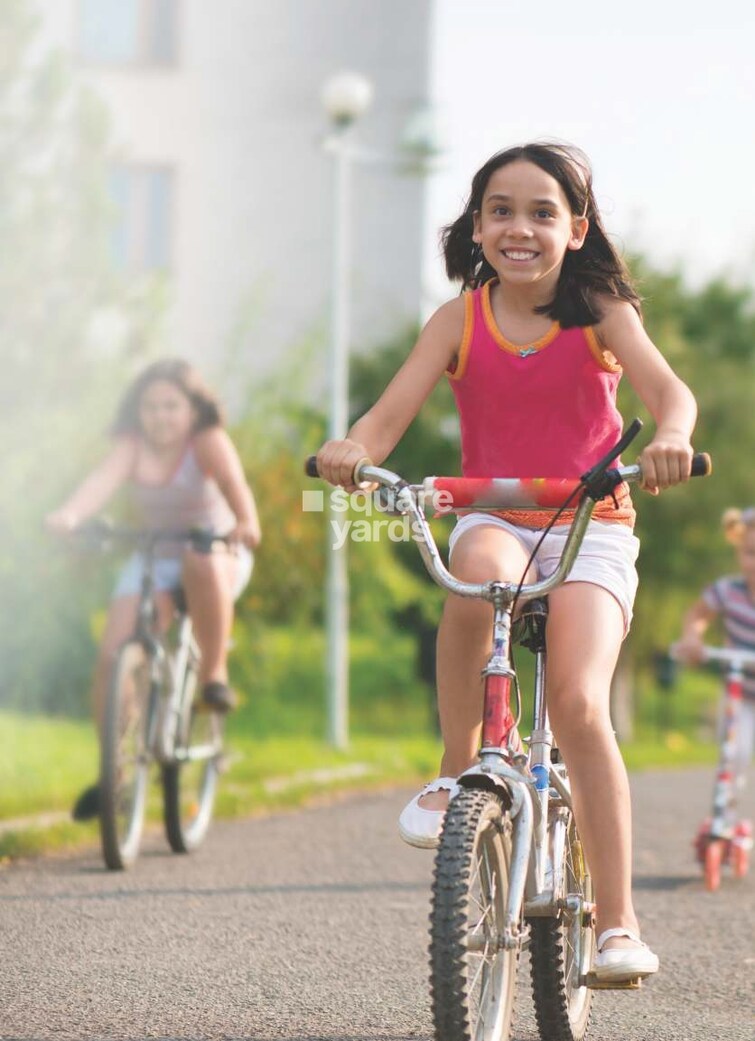 Pharande L Axis Amenities-Features 4