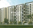 Platinum Pallazo