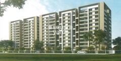 Platinum Pallazo