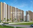 Polite Bhalchandra Vihar