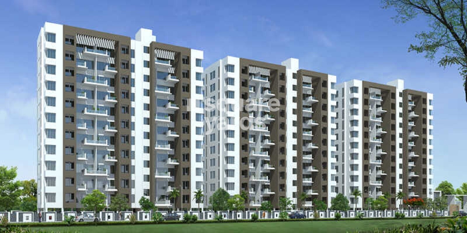 Pragati Nandini Bellus