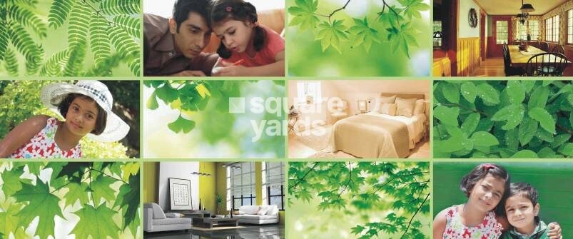 Prathamesh Rajshilpa