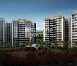 Pride Mega Township