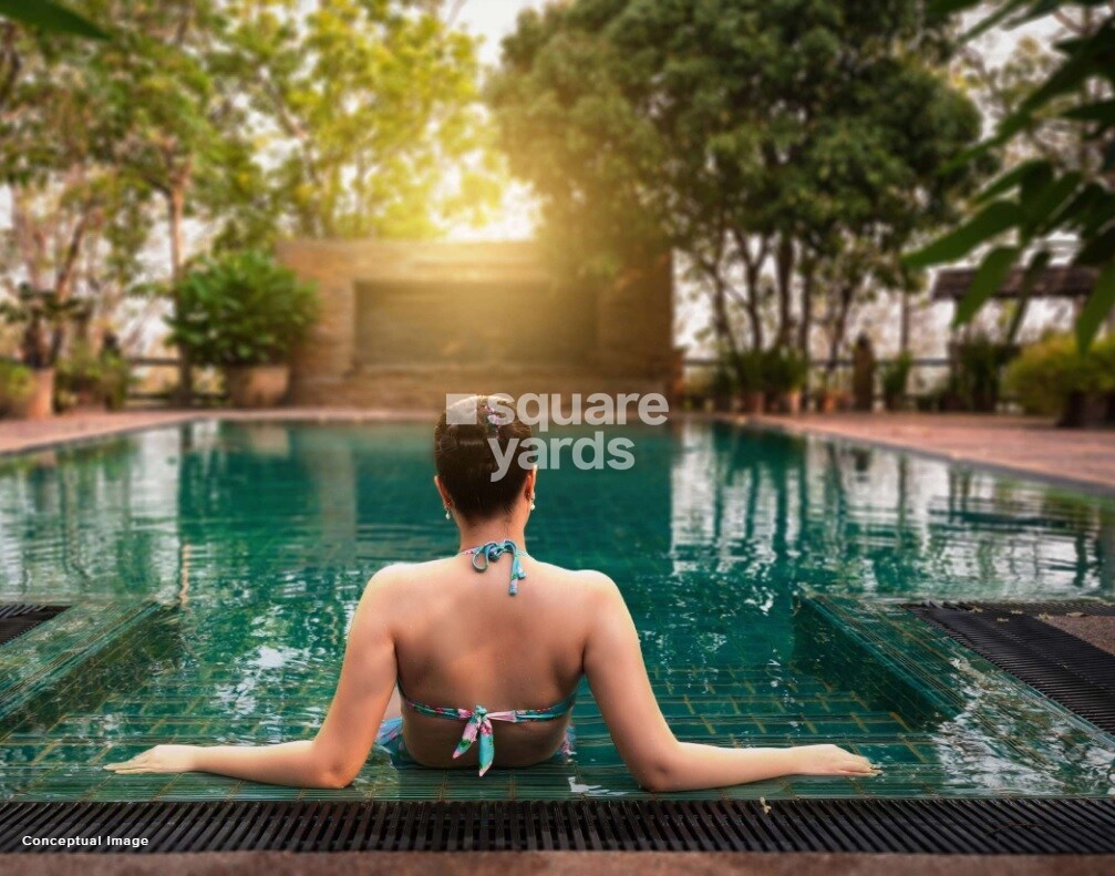 Pride Platinum Amenities-Features