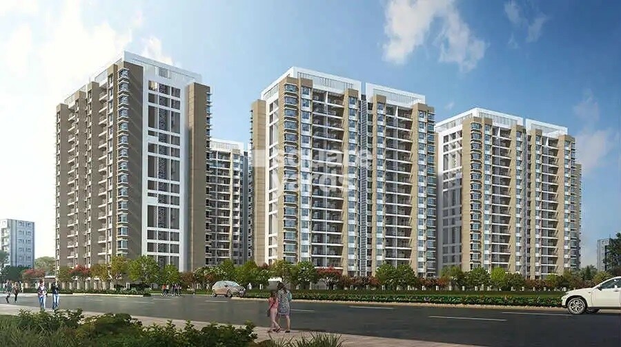 Pride Purple Park Connect