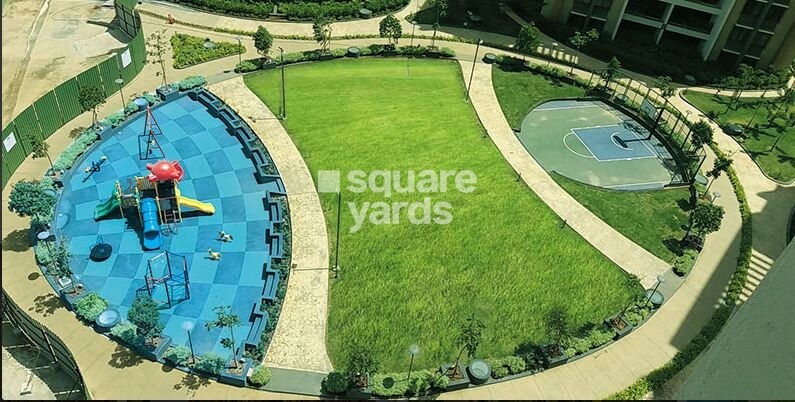 Pride Purple Park Ivory Amenities-Features