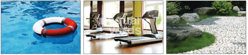 Pride Purple Park Springs Amenities-Features