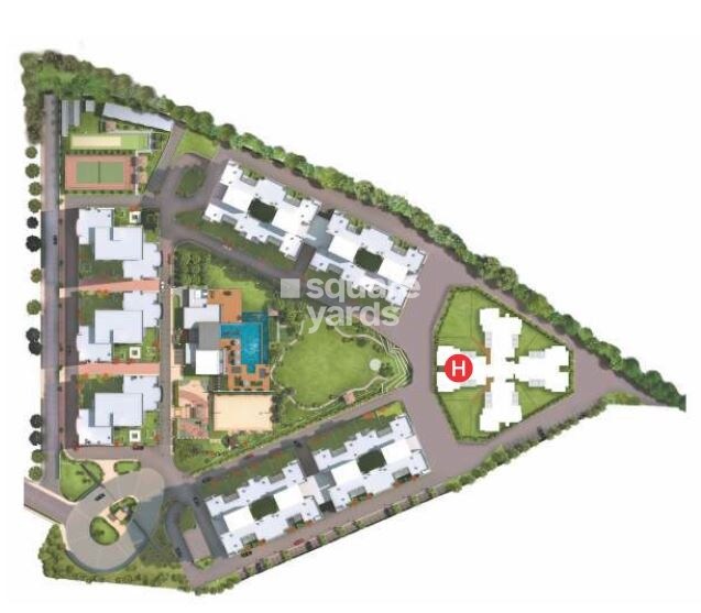 Pride Purple Park Titanium