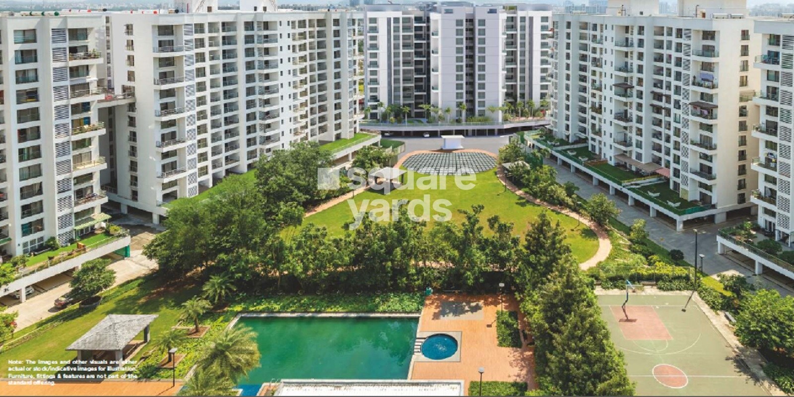 Pride Purple Park Titanium