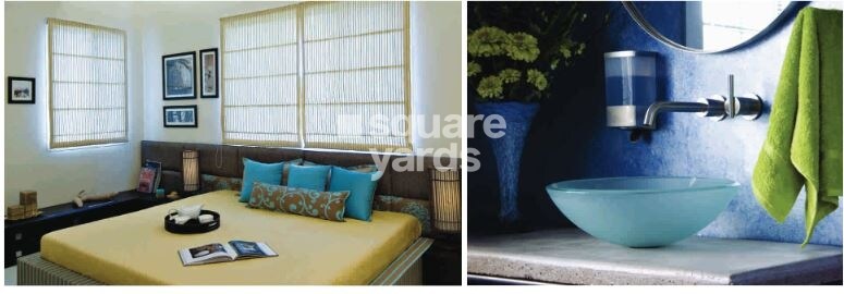 Pride Purple Park Turquoise Amenities-Features