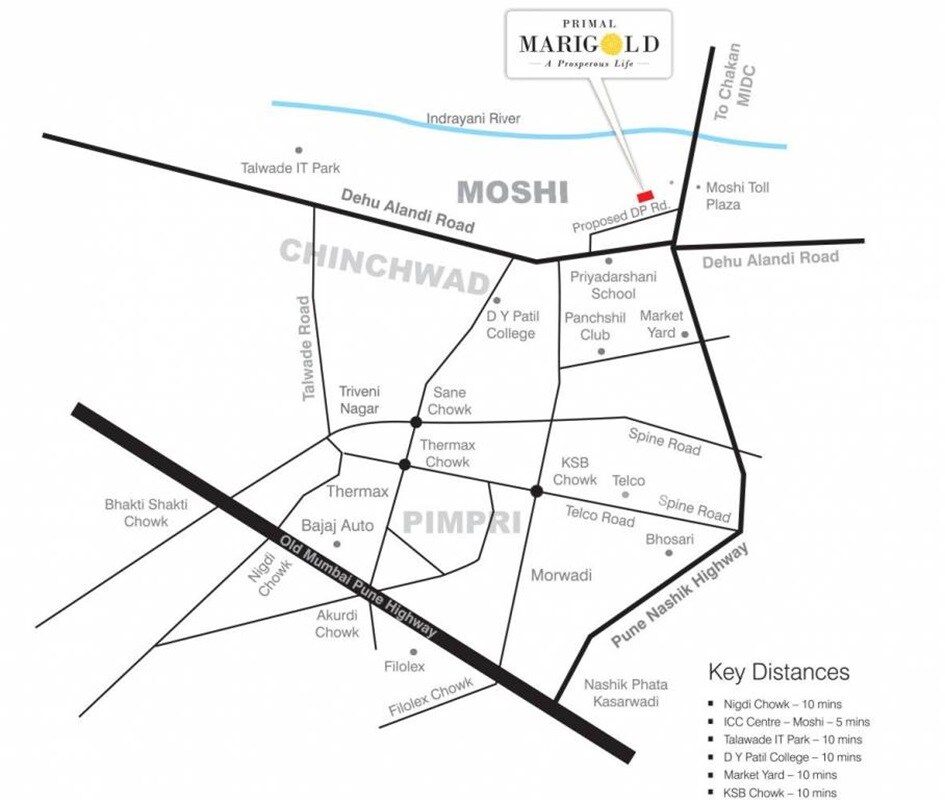 Primal Marigold Location Image