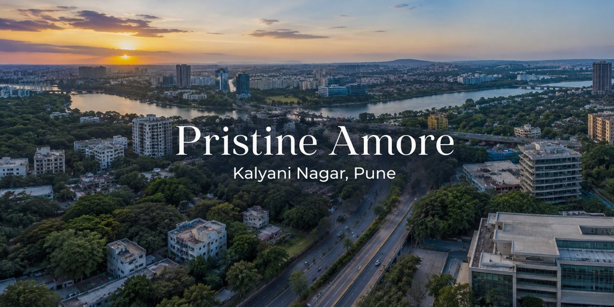 Pristine Amore Featured Image