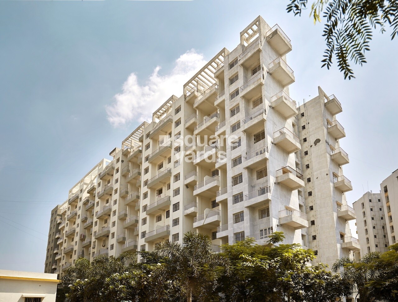 Pristine Pacific Phase 2