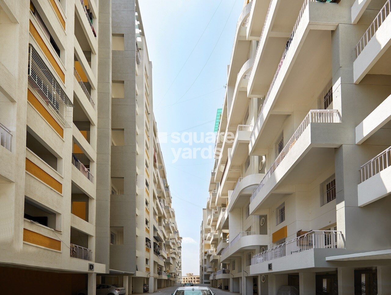 Pristine Pacific Phase 2