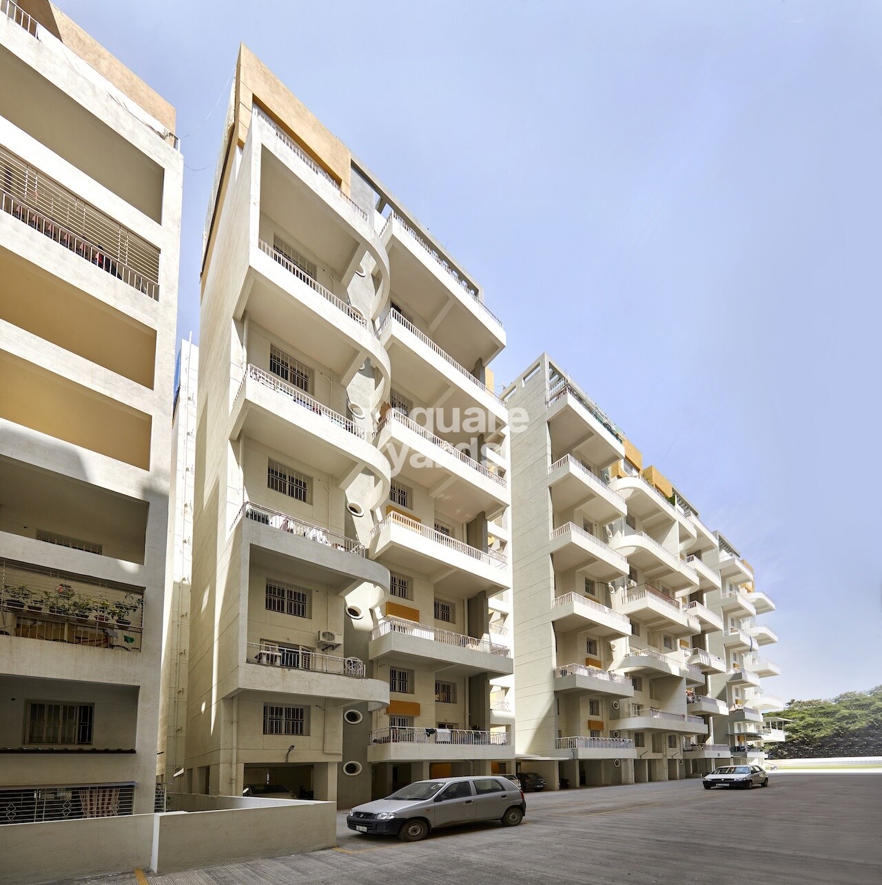 Pristine Pacific Phase 2