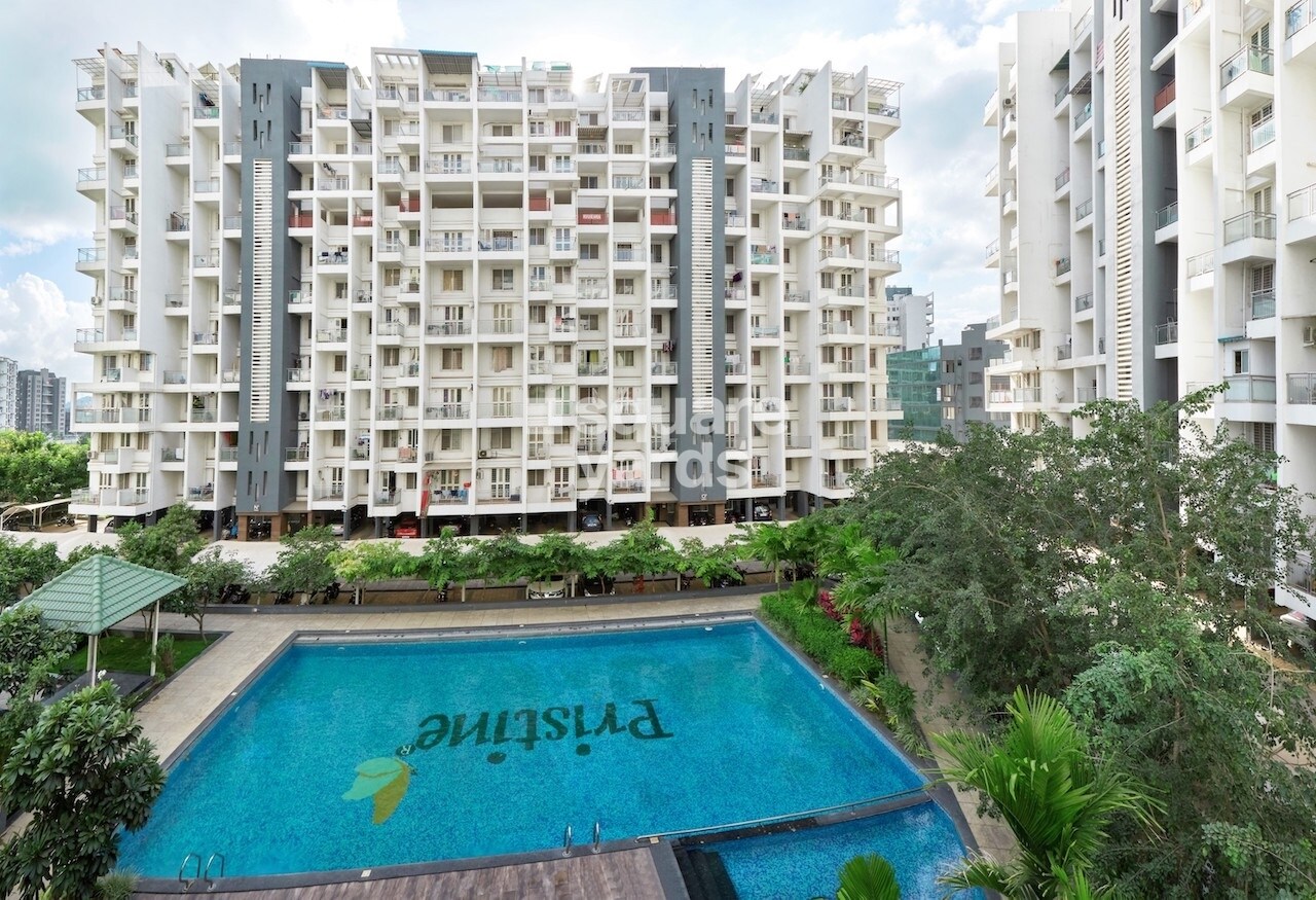 Pristine Prolife 2 Amenities-Features