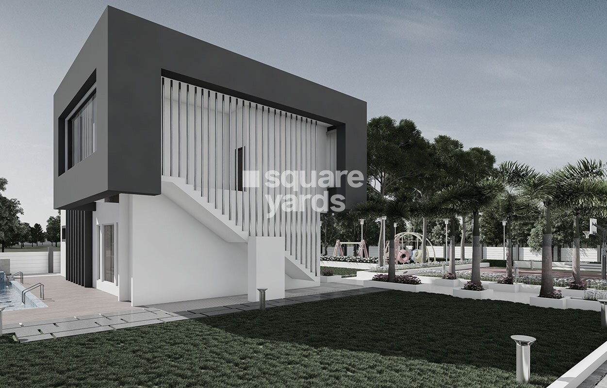 Pristine Prolife Phase III