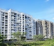 Pristine Prolife Phase III