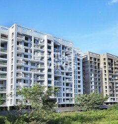 Pristine Prolife Phase III Pristine Prolife Phase III