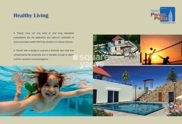 Probo Pride Township Amenities-Features 2