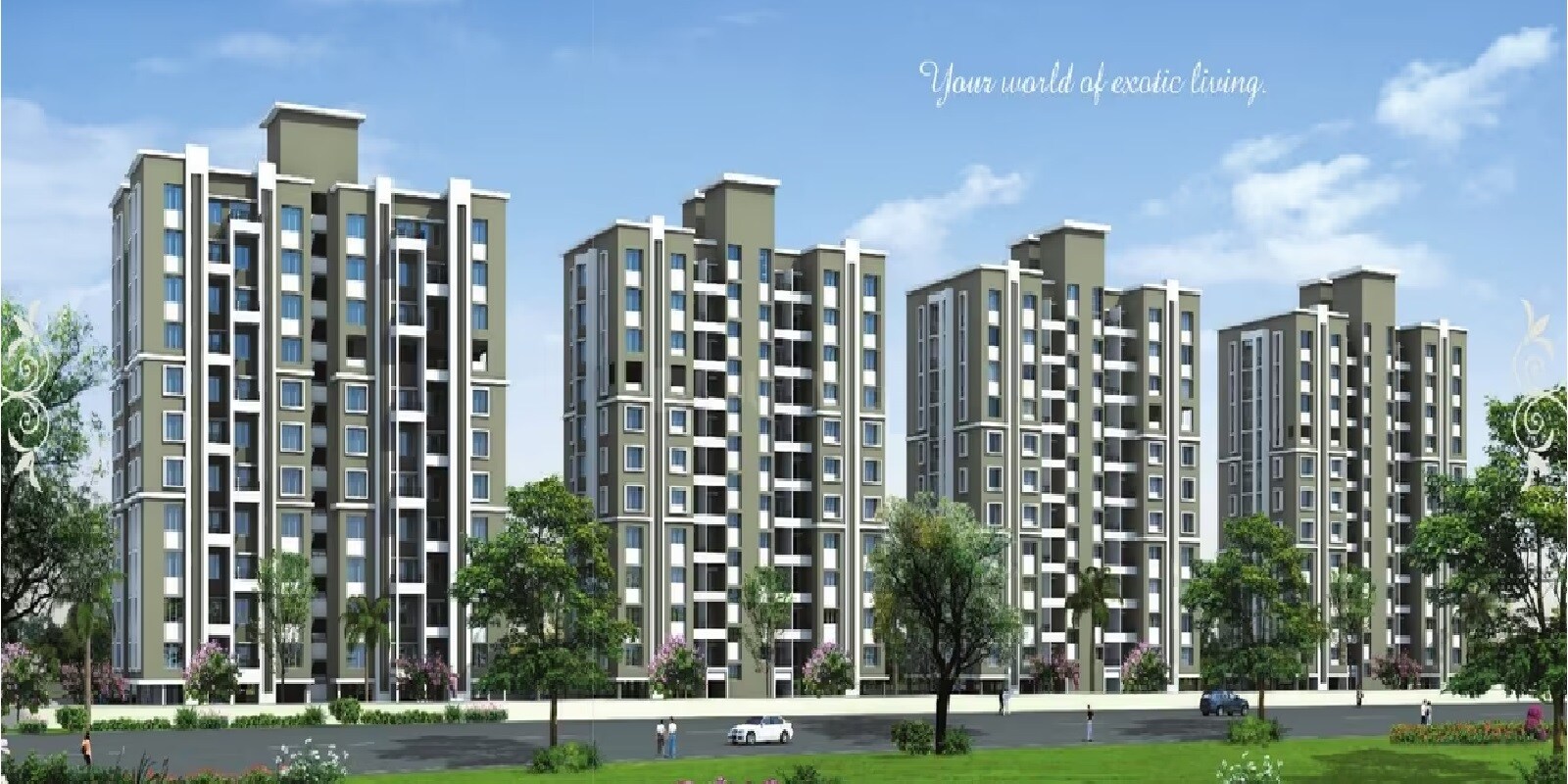 Rainbow Revell Orchid