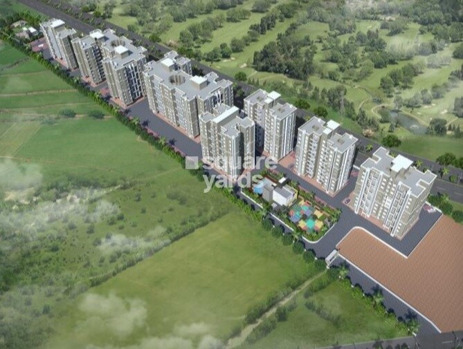 Rainbow Revell Orchid