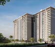 Ram India Palm Drive