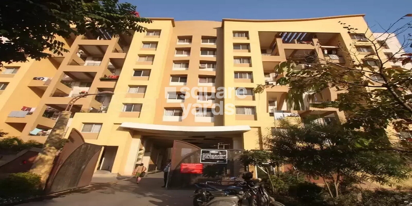 Raviraj Yellow Blossoms