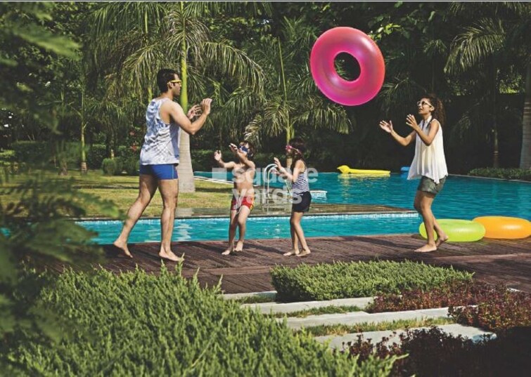 Reelicon Fairy Bell Amenities-Features 1