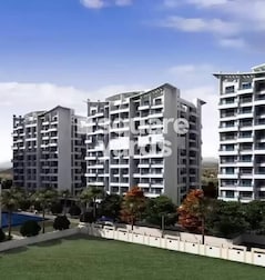 Regency Cosmos Garden Regency Cosmos Garden