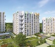 Rohan Anand Phase 2