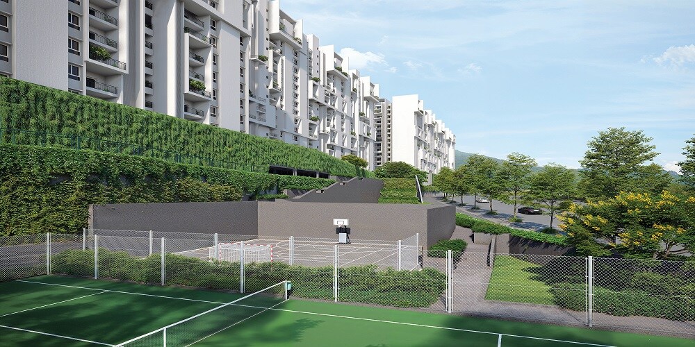 Rohan Saroha Sports facilities Image