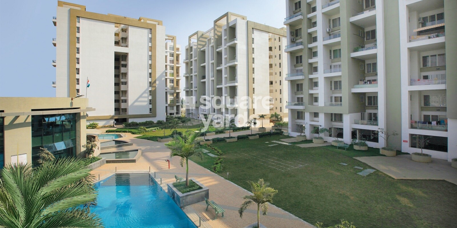 rohan-tarang