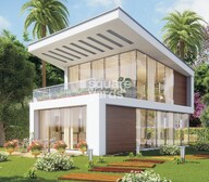 S and M The Palazzo Amenities-Features