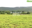 Sairung Meadows
