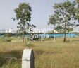 Sairung Samruddhi