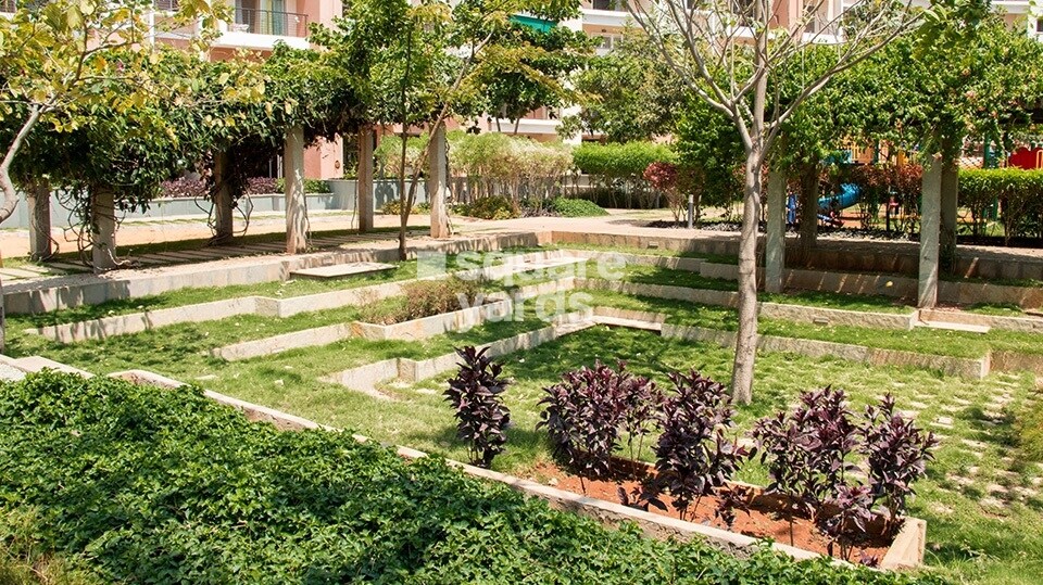 Salarpuria Sattva H And M Royal