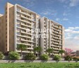 Sargun RKH Golden Sunrise