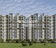 SB Patil Ganesh Paradise
