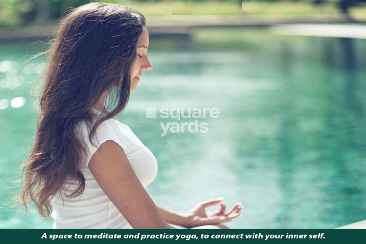 Shapoorji Pallonji Mango Tree Villa Amenities-Features