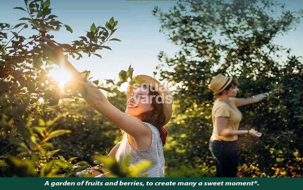 Shapoorji Pallonji Mango Tree Villa Amenities-Features