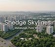 Shedge Skylines