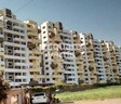 Shivam Serene Scapes