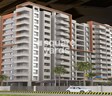 Shree Palaash Oak